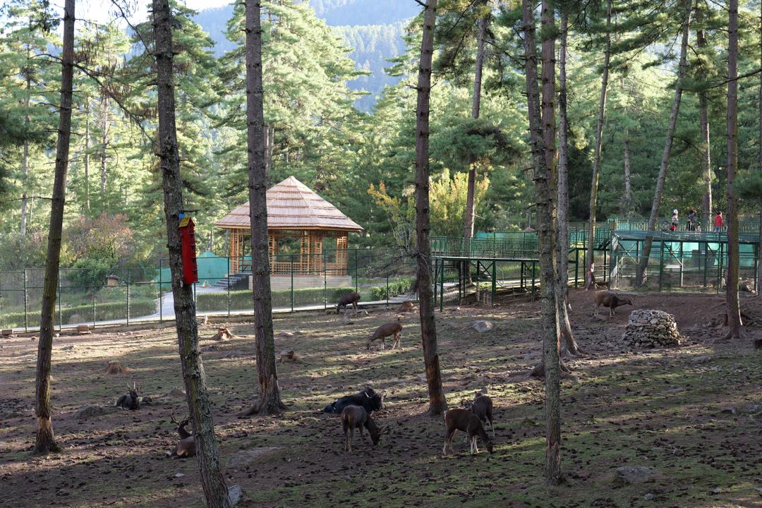 Snowman Trek Bhutan